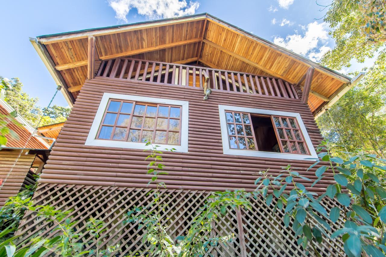 Suenos Del Bosque Lodge Сан Херардо де Дота Екстериор снимка