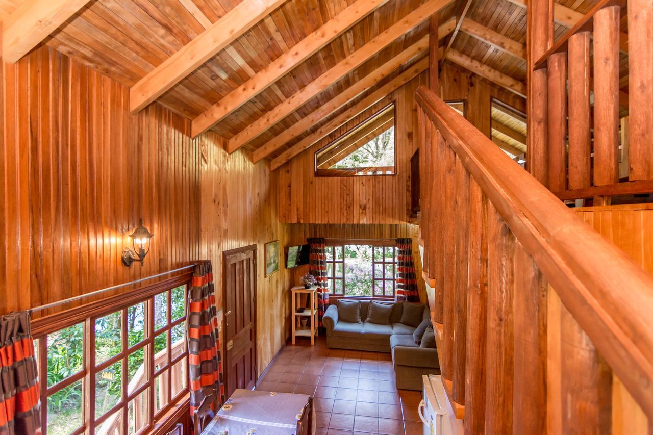 Suenos Del Bosque Lodge Сан Херардо де Дота Екстериор снимка