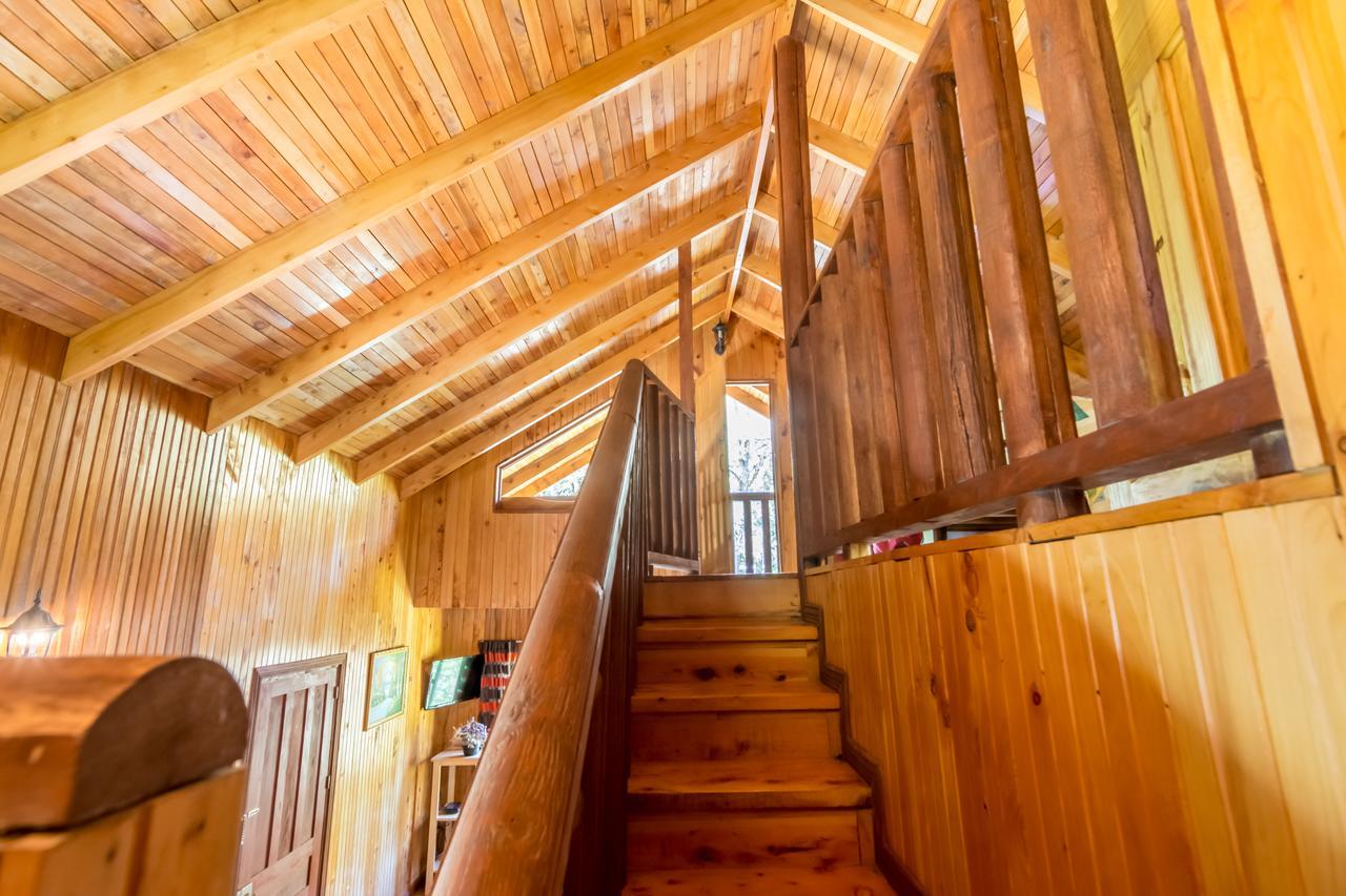 Suenos Del Bosque Lodge Сан Херардо де Дота Екстериор снимка