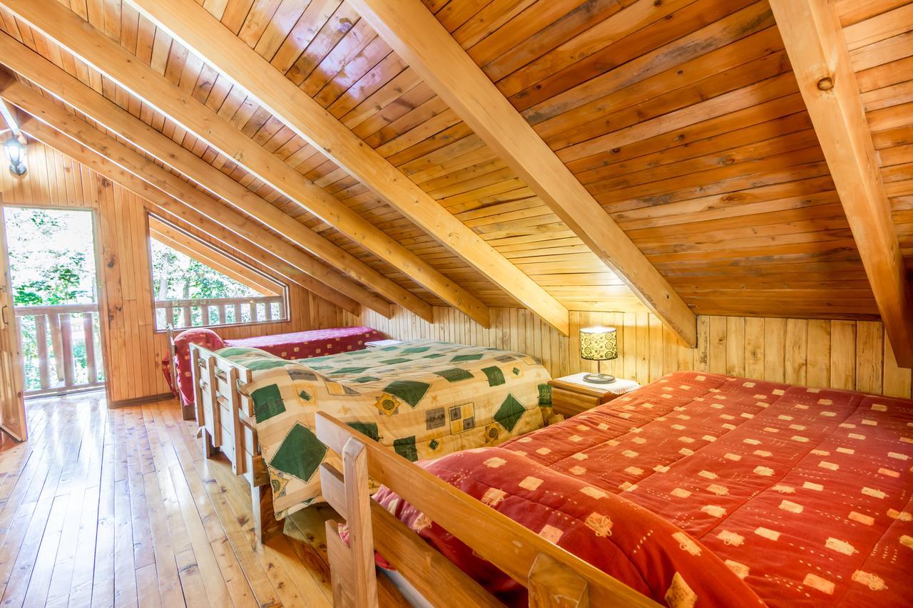 Suenos Del Bosque Lodge Сан Херардо де Дота Екстериор снимка