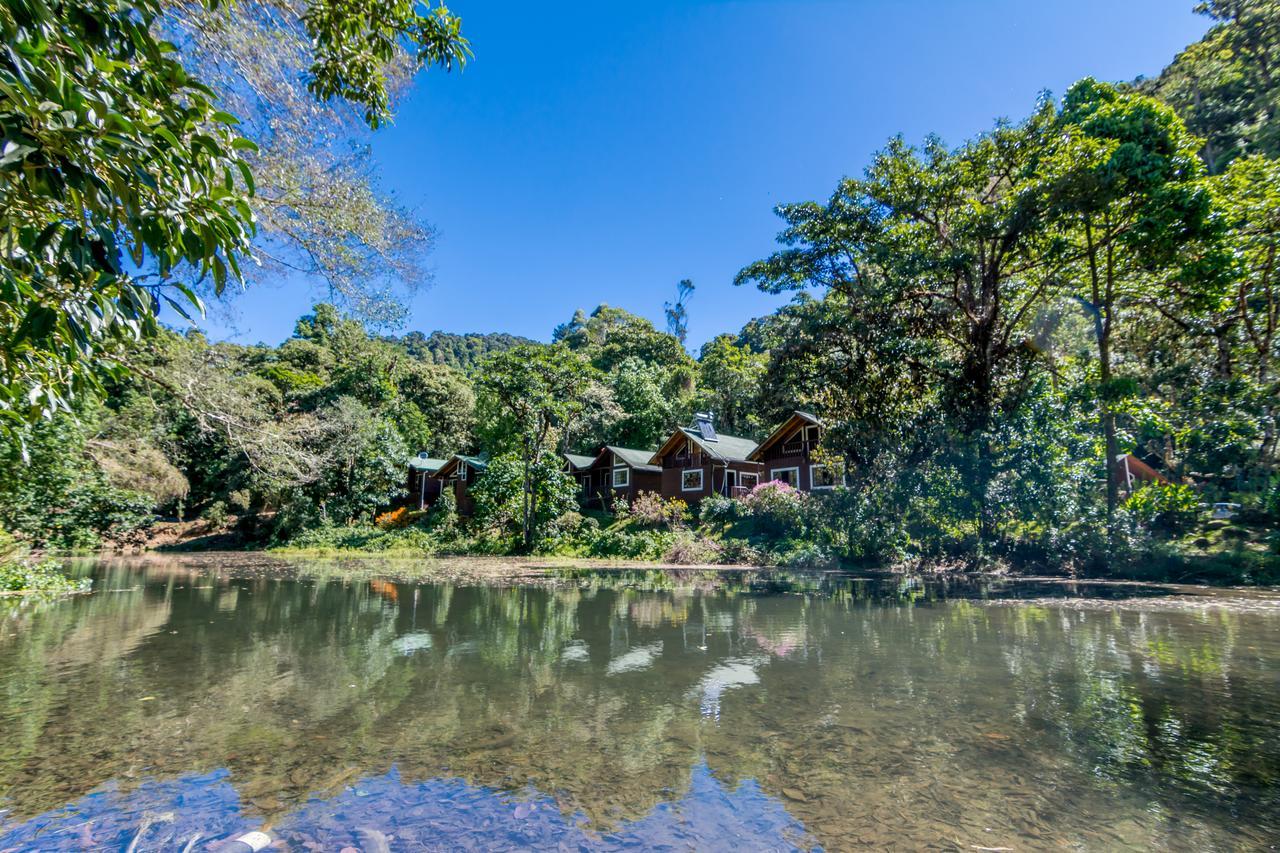 Suenos Del Bosque Lodge Сан Херардо де Дота Екстериор снимка